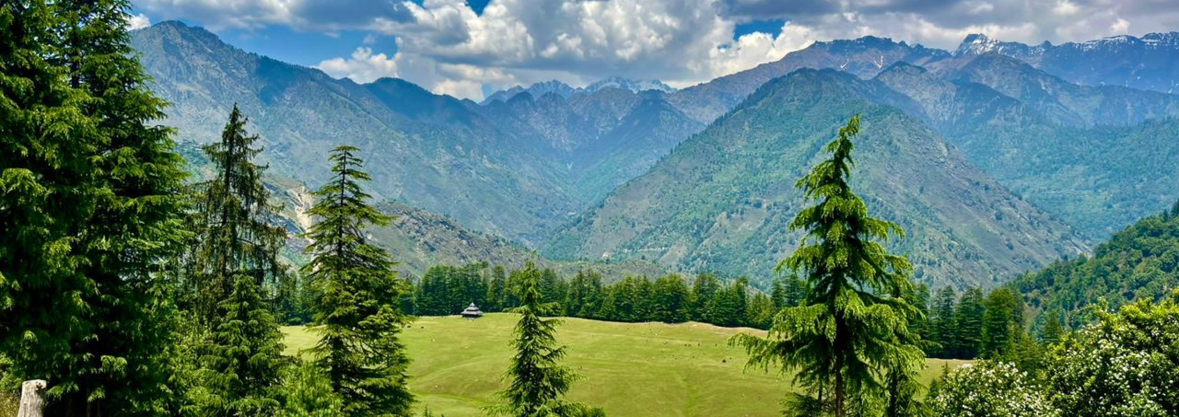 WhatsApp Image 2025-12-22 at 9.53.29 PM